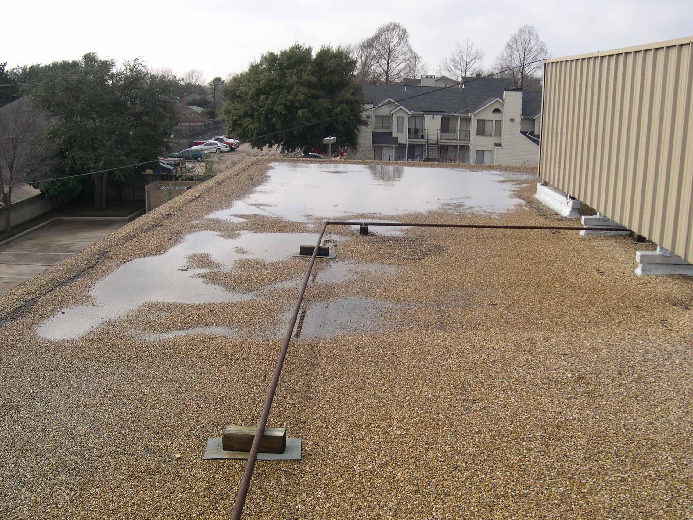 Forest/Abrams - detail