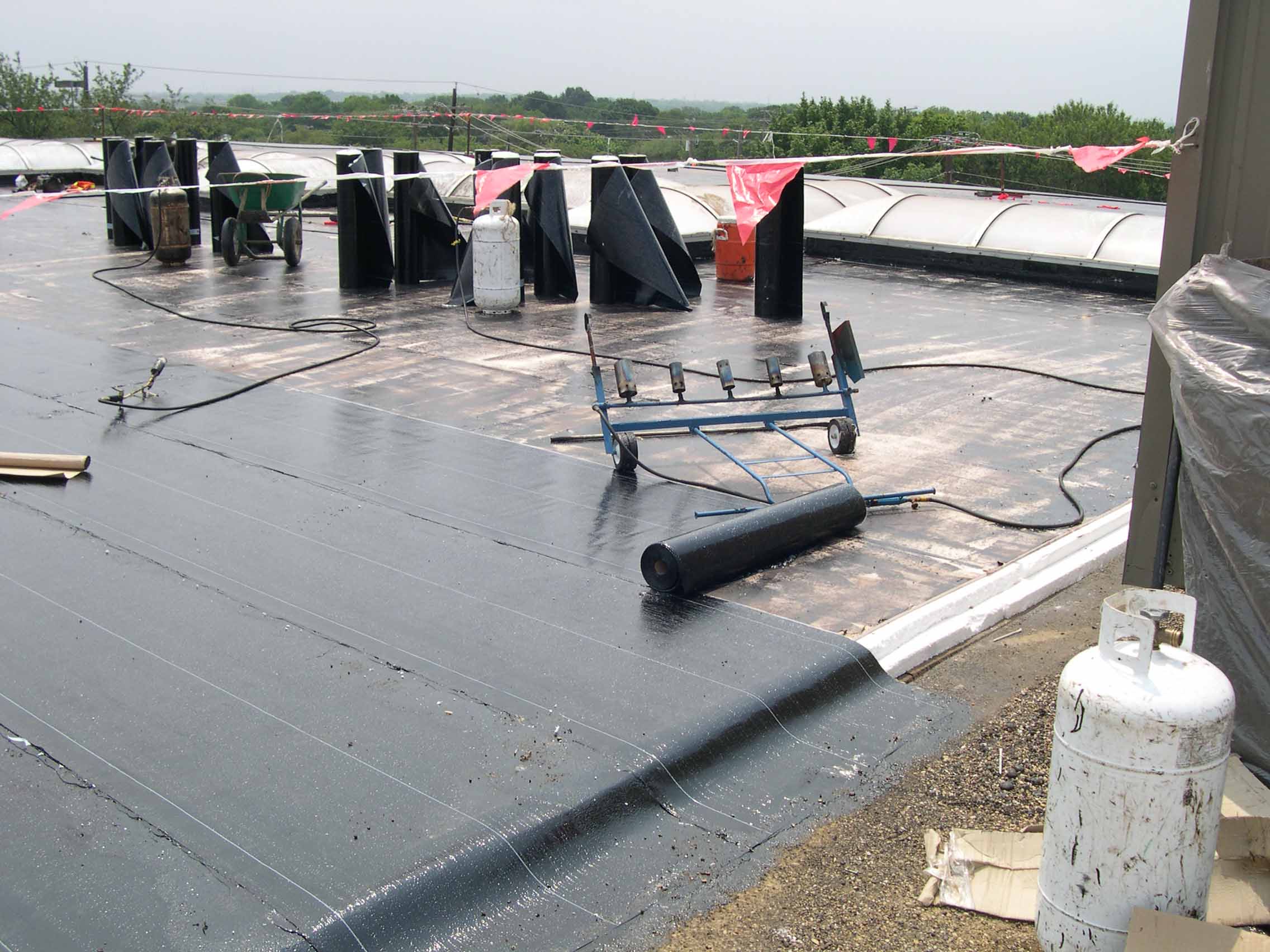 Forest/Abrams - progress