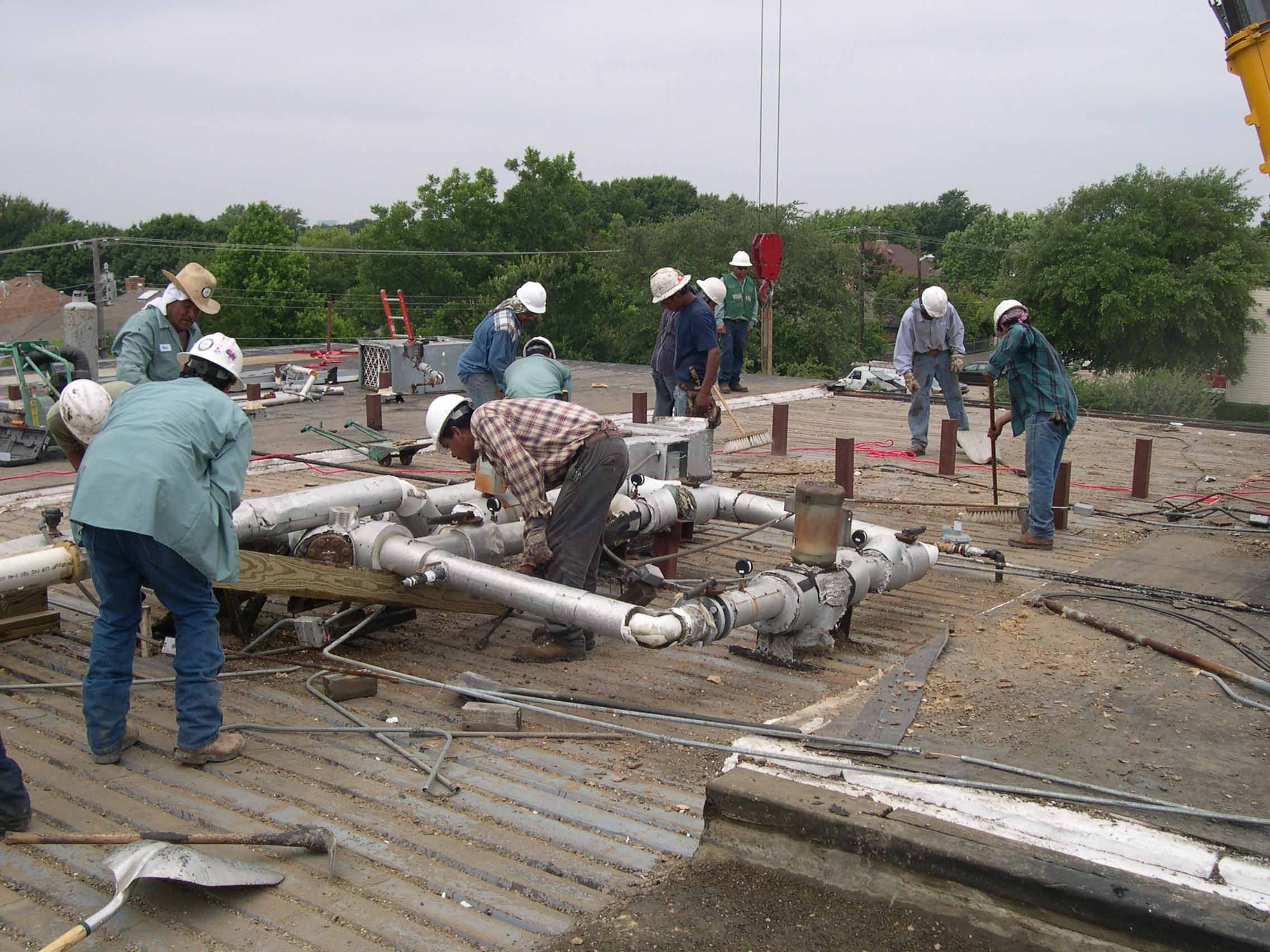 Forest/Abrams - system