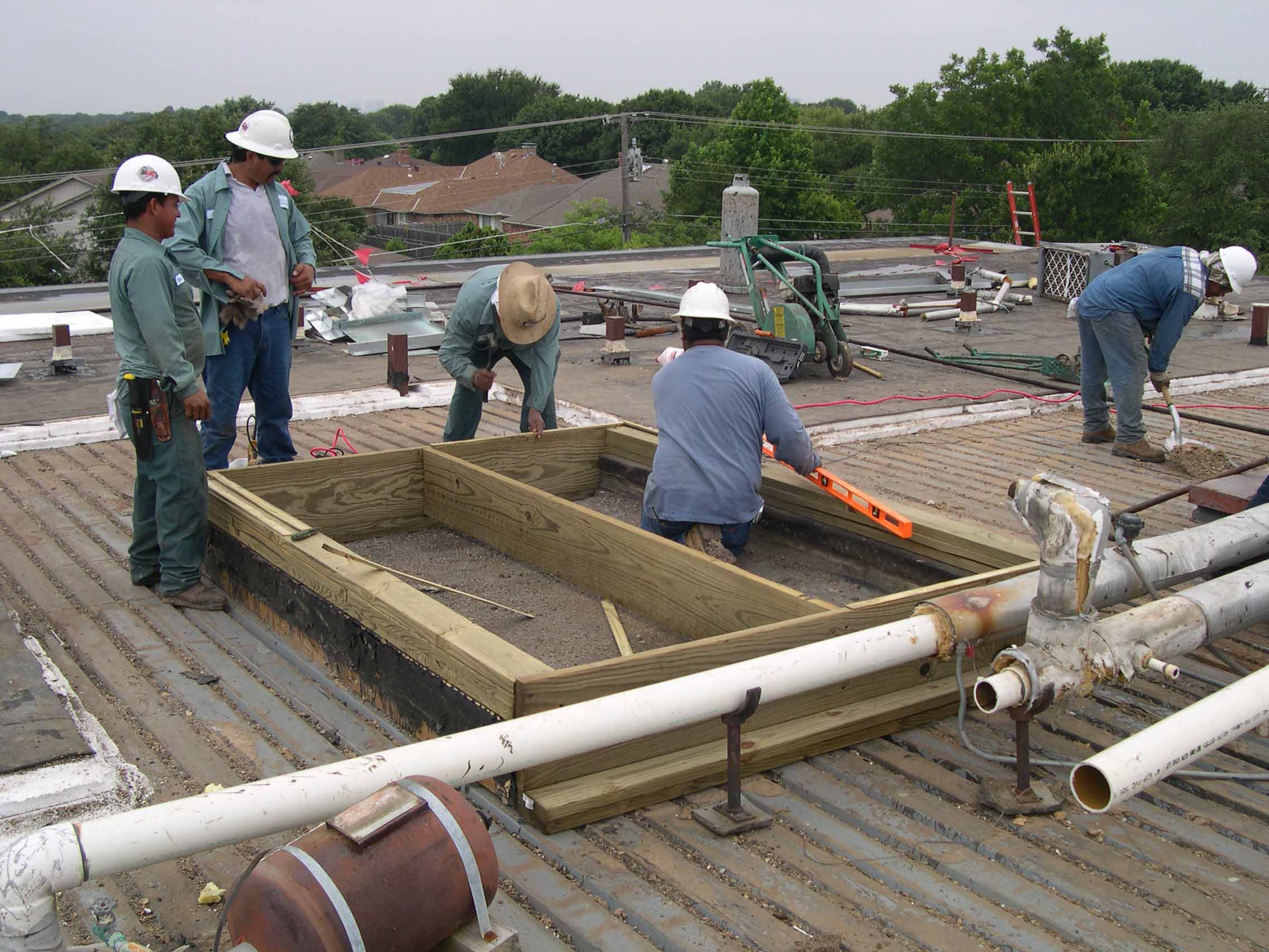 Forest/Abrams - work